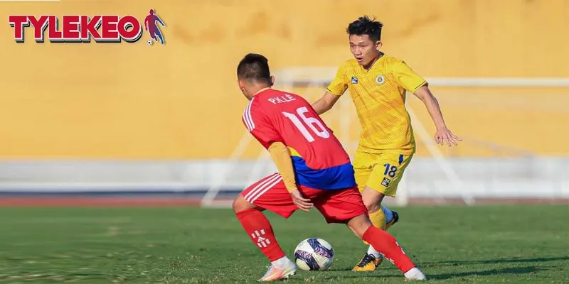 Các ứng viên tài năng đang dần hé lộ